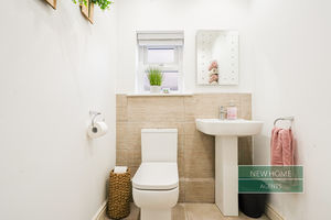 Photo 31- click for photo gallery